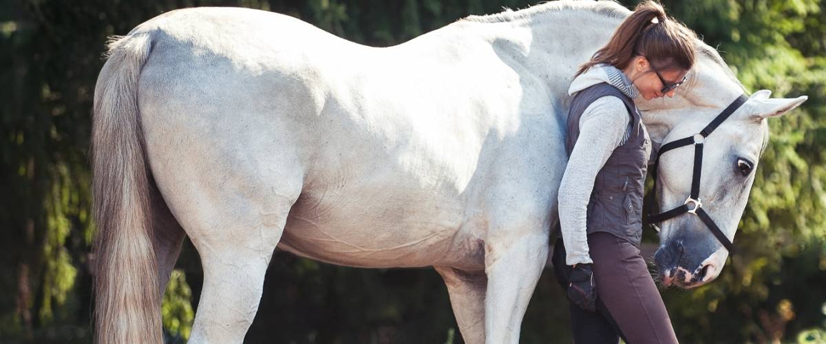 Can a Questionnaire Help Owners Recognize Pain in Their Horse?